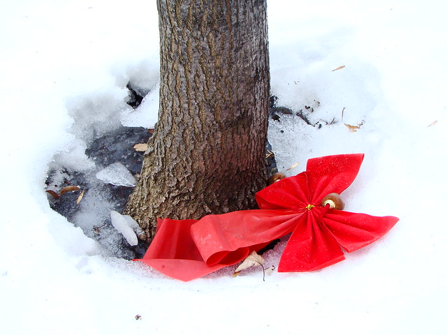 The Red Bow that Flyed to meet the Tree
