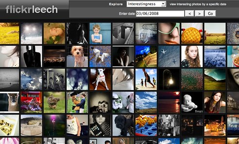 Flickr Leech beta (square thumbs)