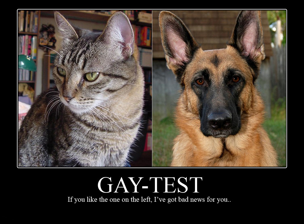 gay test with pictures sorted by. relevance. 