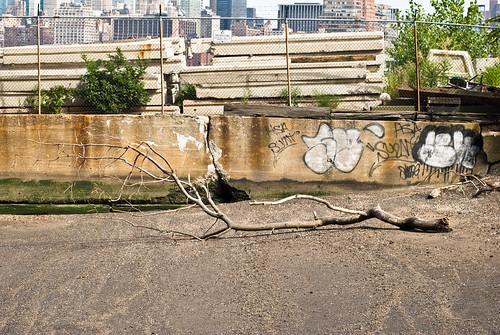 Tree Limb in Repose, August 29th by mike moreno