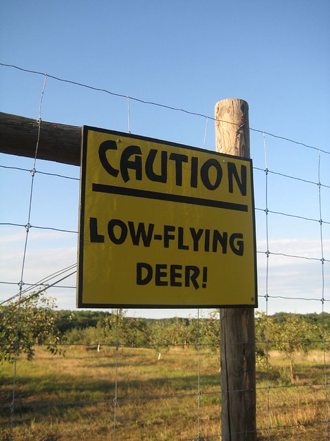 Caution - Low-Flying Deer!