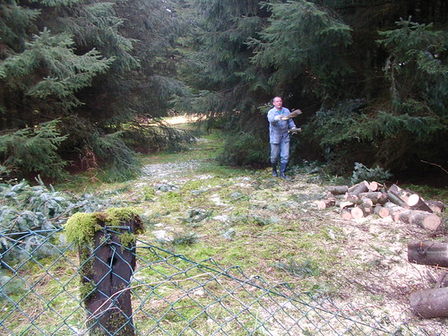 tree destroyed way baum zerstört weg woriking arbeiten im wald in the woods hard chiansaw holz wooden | by poltergeistluxx
