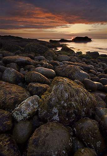 ocean park seaweed beach me sunrise moss nikon angle wide sigma boulder atlantic national d200 1020 acadia inanutshell shamikphotographycomshamiknikonmaineme
