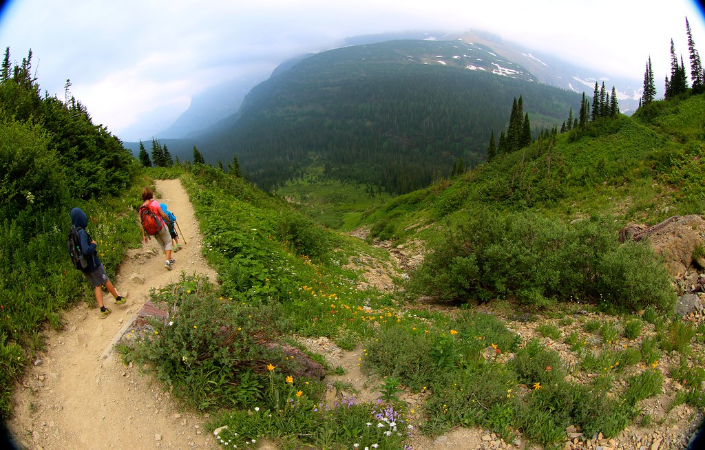 Family hiking downhill from Iceberg Lake, Glacier NP MT