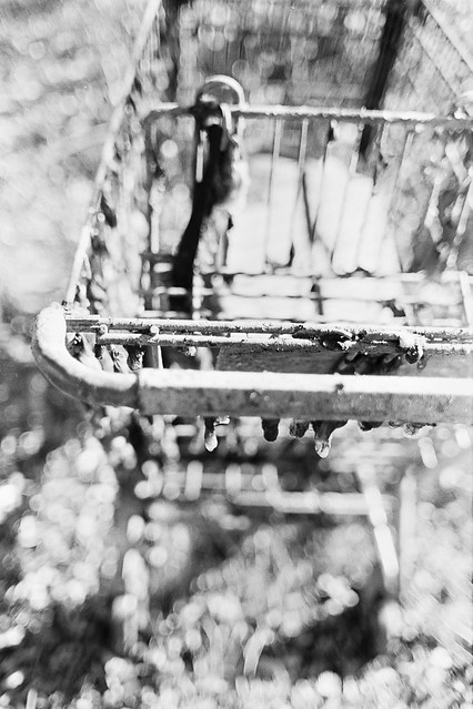 Recovered Shopping Cart (Arista Premium/PX:015:20) (View Large)