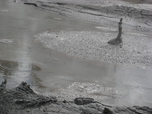 Mudpool, Rotorua | by siemenjenine