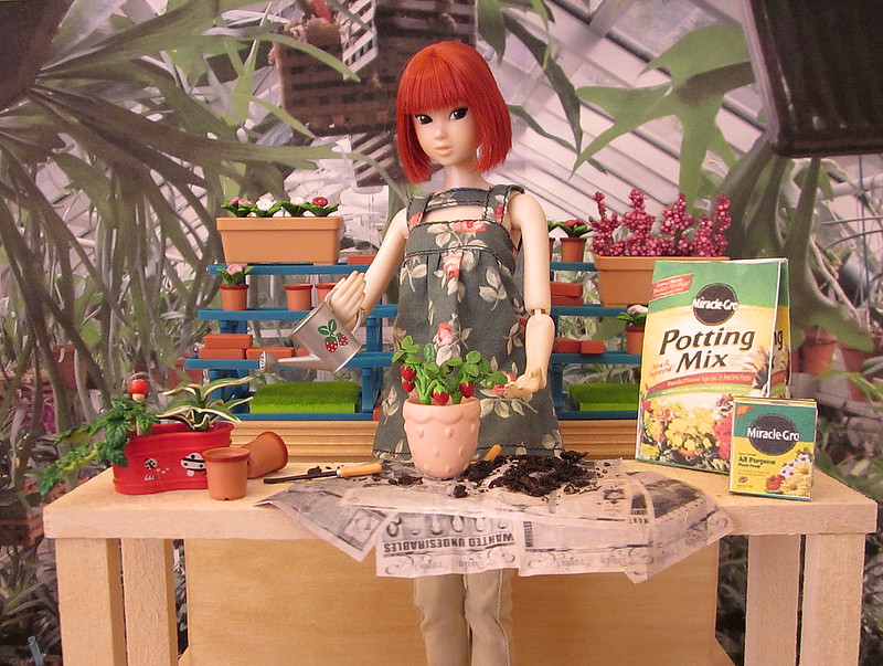 Millie re-pots her plants