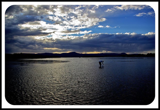 Lake Illawarra NSW 2528
