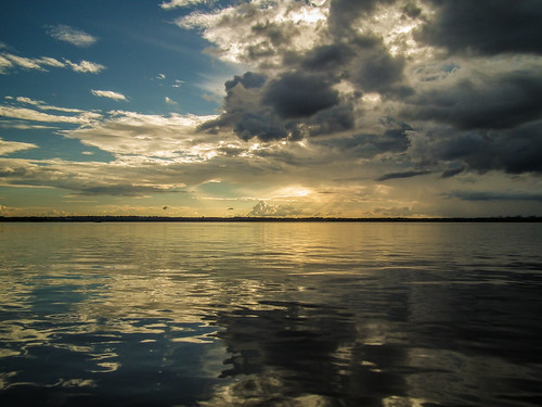 Amazon near Iquitos