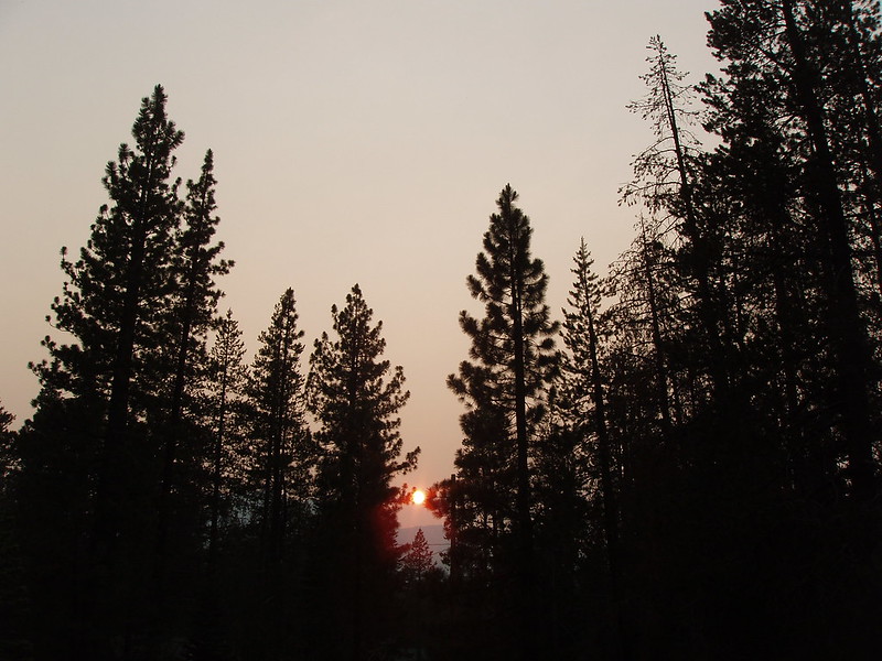071108 Tahoe Sunset trees 5