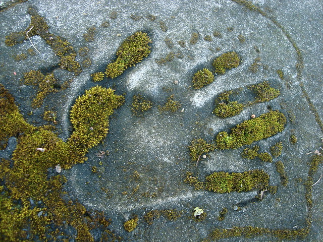Mossy Handprint