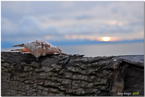 Solitude by - ponsitoblue -, <a href="http://farm4.static.flickr.com/3254/2994994598_23361b634c_b.jpg">Best Viewed Large</a>sunse