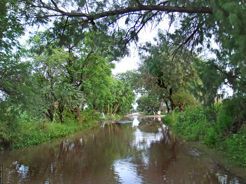 road water méxico mexico agua camino flood charco rioverde sanluispotosi inundación sanluispotosí