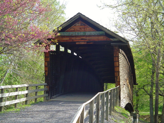 Humpback Bridge in Spring