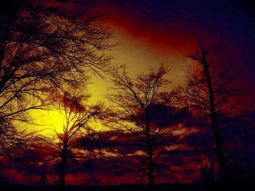 _1019103 by j.keller1, trees red sky orange sun paris tree silhouette yellow rural kentucky country flare bourbon geotagged