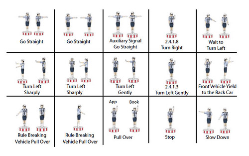 Chinese Driving Signals