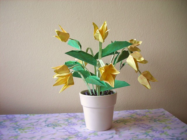yellowflowers2