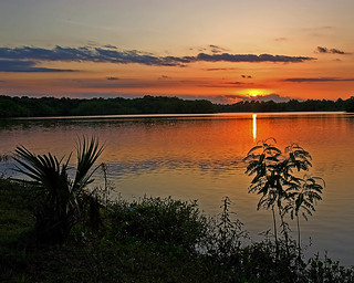 Lake Houston Sunset