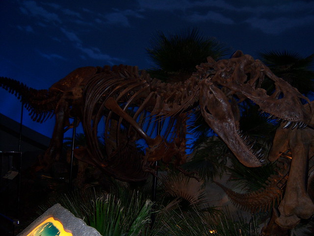 Well, Hey there, T-Rexy, Hi!