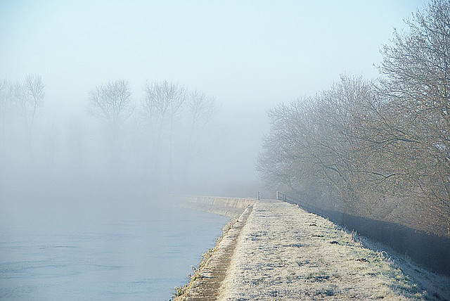 Frost and Fog at the Reservoir