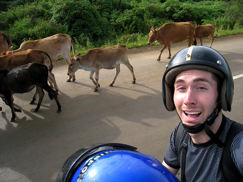 Bolaven Plateau