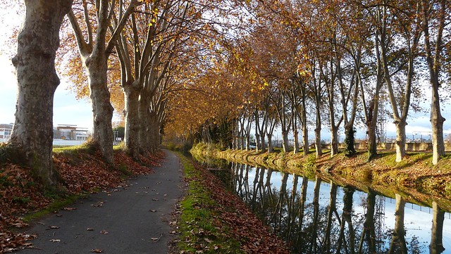 C'est l'automne sur le Canal du Midi