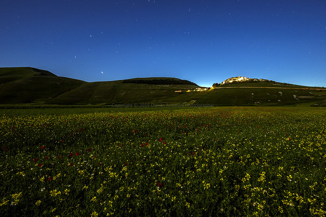 Castelluccio di Norcia (10036)