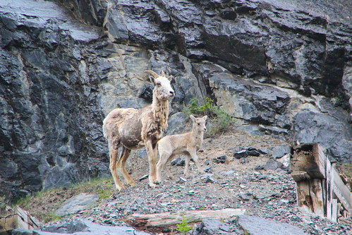 Bow Valley Wildland Provincial Park