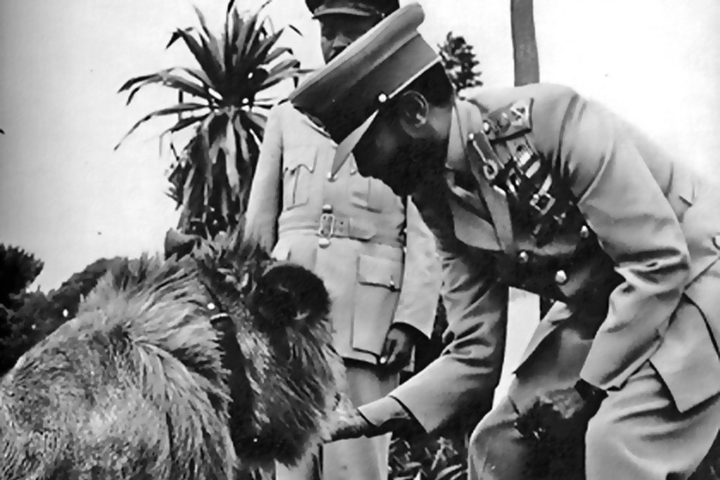 Image result for haile selassie lion pets