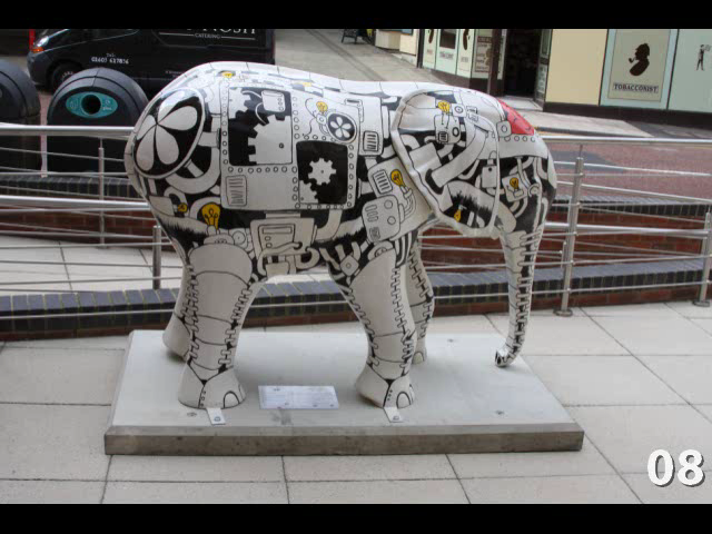 Go Elephants! in Norwich