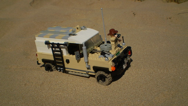 Agent Janus in Desert Action