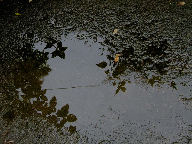 reflections on the ground