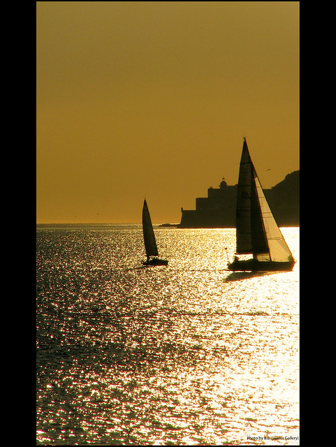Golden sails ...