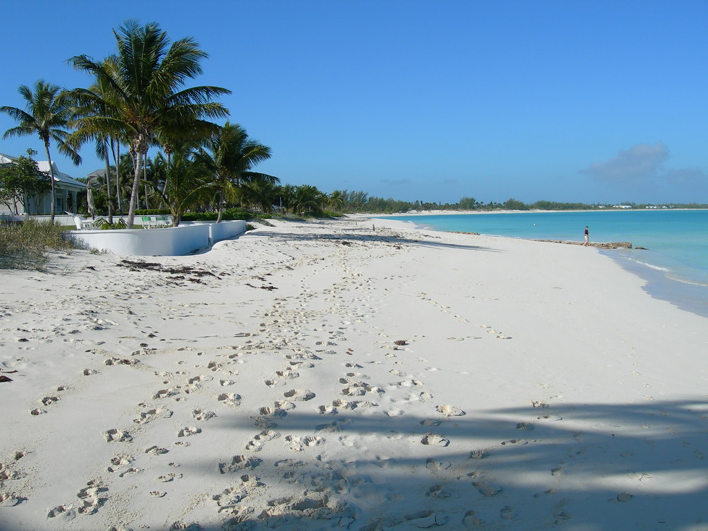 Una guía para principiantes de esnórquel en las Bahamas 5