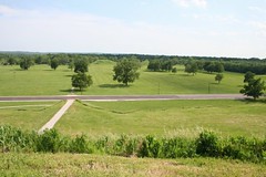 view down from atop monks mound