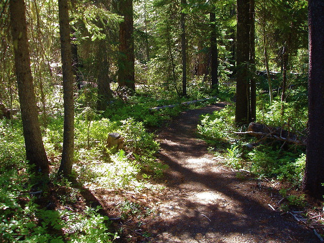 Trail Running, High Lakes Trail, Lake of the Woods, Oregon