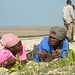 vilankulos mozambico pescatrici
