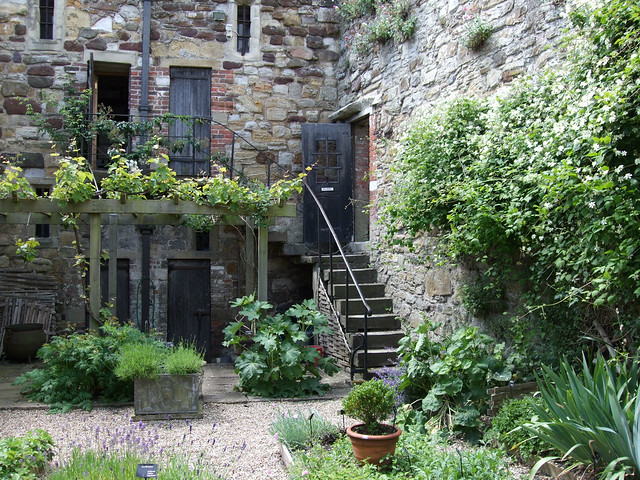 Medieval Herb Garden, Ypres Tower, Rye, East Sussex.
