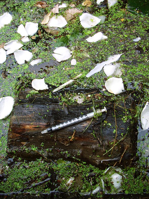 Log Roses log, rose-petals and syringe - a photo on Flickriver
