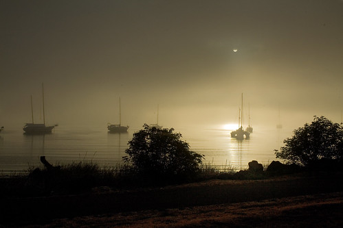 ocean fog sunrise washington portangeles olympic roomview straightofjuandefuca winnr absolutelystunningscapes