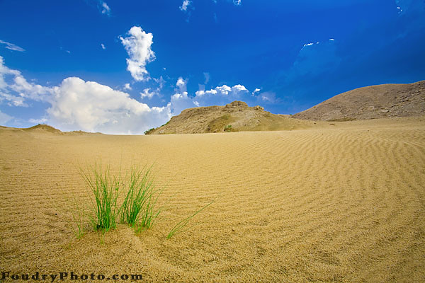 Beauty Of Desert