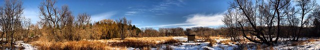 winter wetlands panoramic