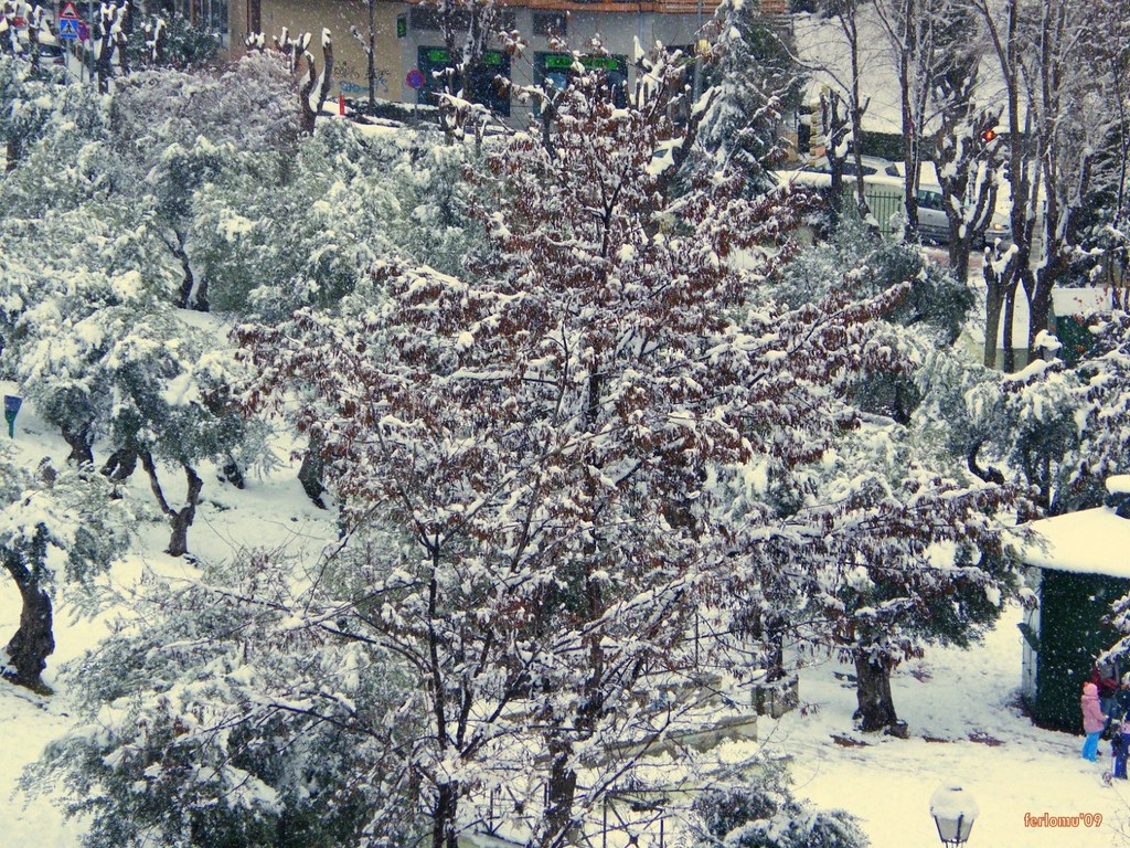 Algete (Madrid) nevado'09-10