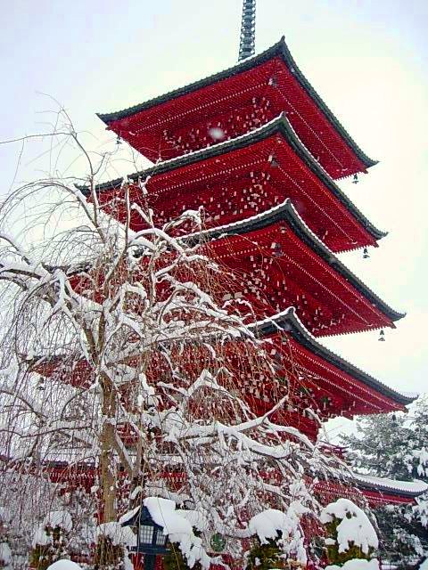 Five storied in winter ~最勝院　五重の塔