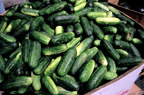 Cucumbers, Spadina Chinatown