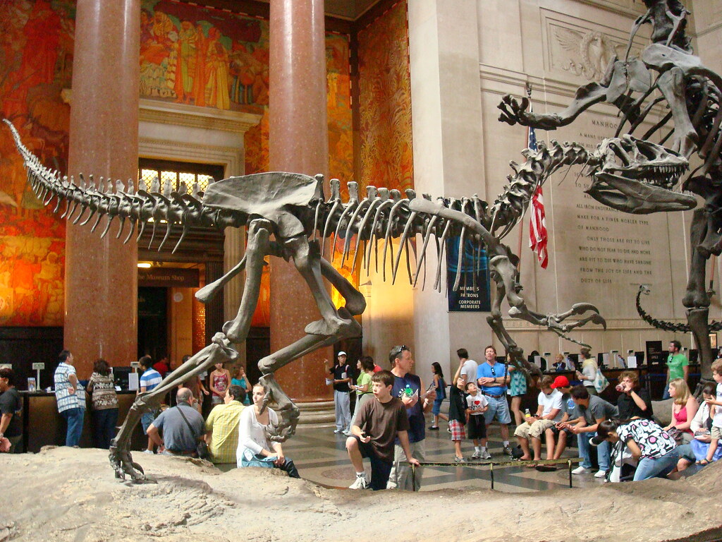 museum of natural history - 04/08