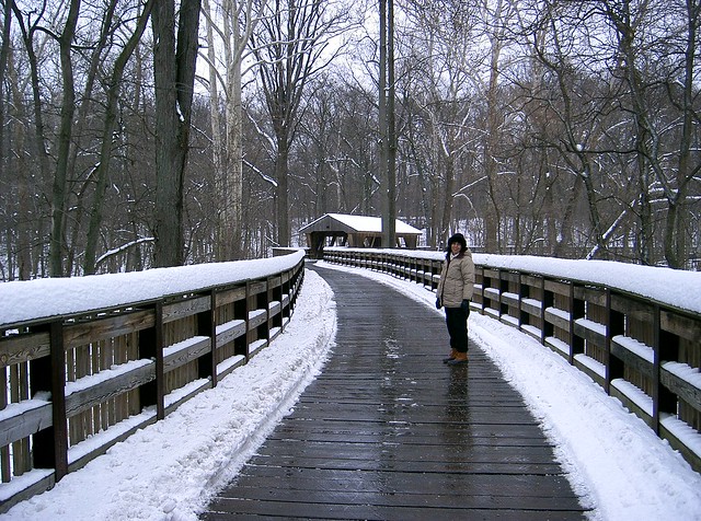 Winter Stroll