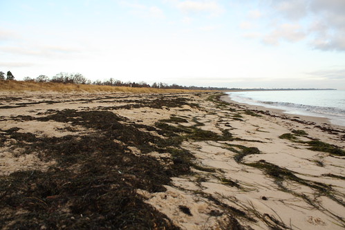 Strand Beach