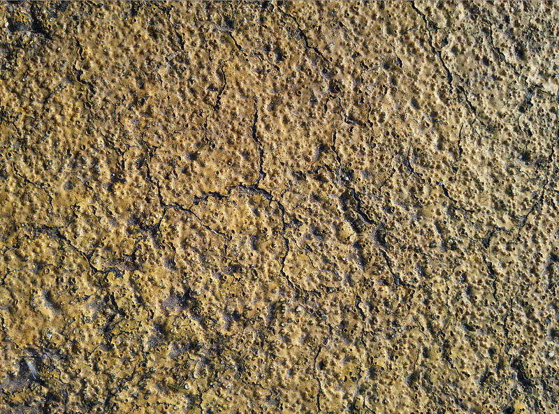 asphalt-texture-2015-06-12-3000px_texturepalace_01