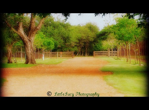 Peace of mind | by LittleLucy116